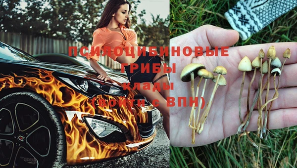 прущий лед Армянск