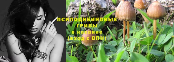 соль ск Аркадак