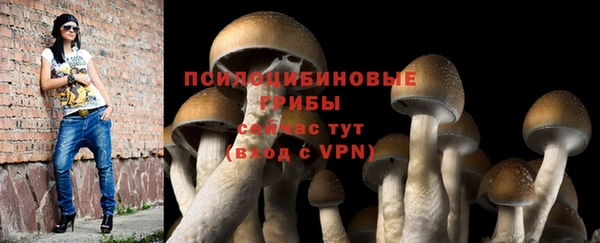 соль ск Аркадак
