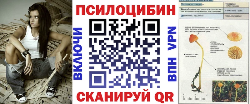 Псилоцибиновые грибы ЛСД  купить закладку  Рошаль 