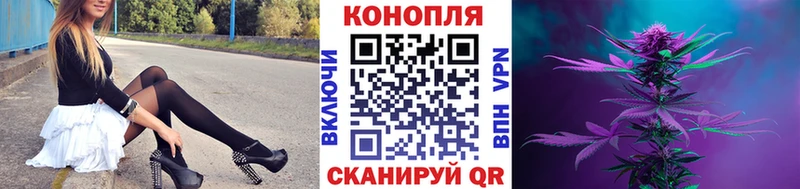 Бошки марихуана MAZAR  Рошаль 